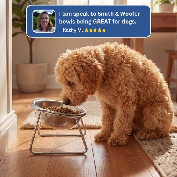 PupComfort™ Raised Feeding Bowl for Healthier Mealtimes
