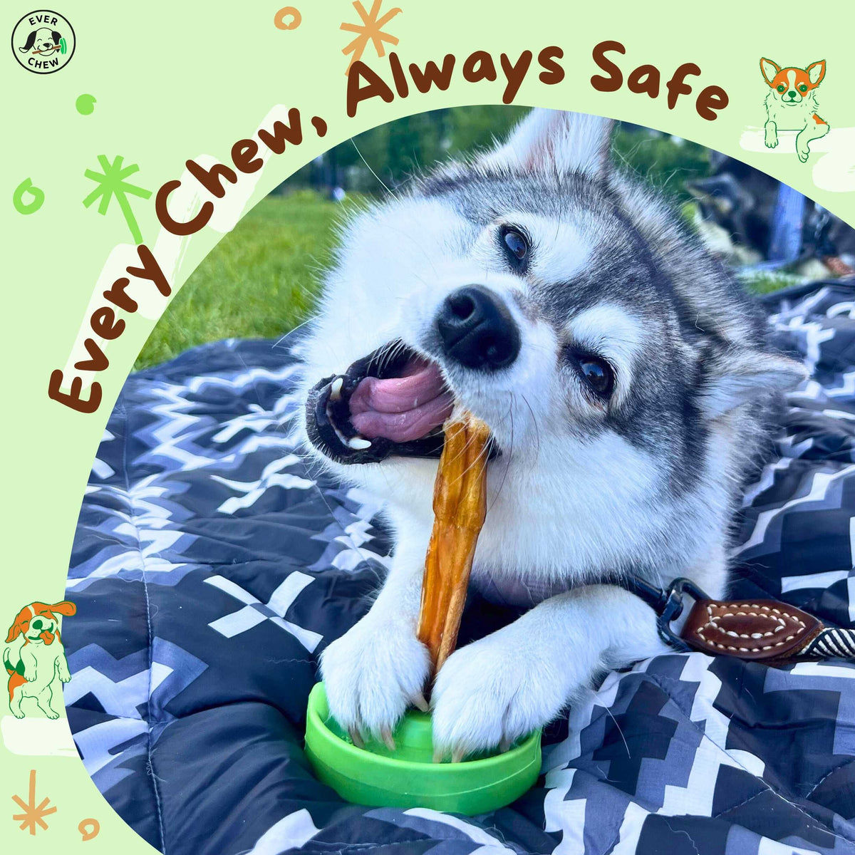 ChewLock™ – Small Dog Bully Stick Holder & Natural Chew Starter Pack