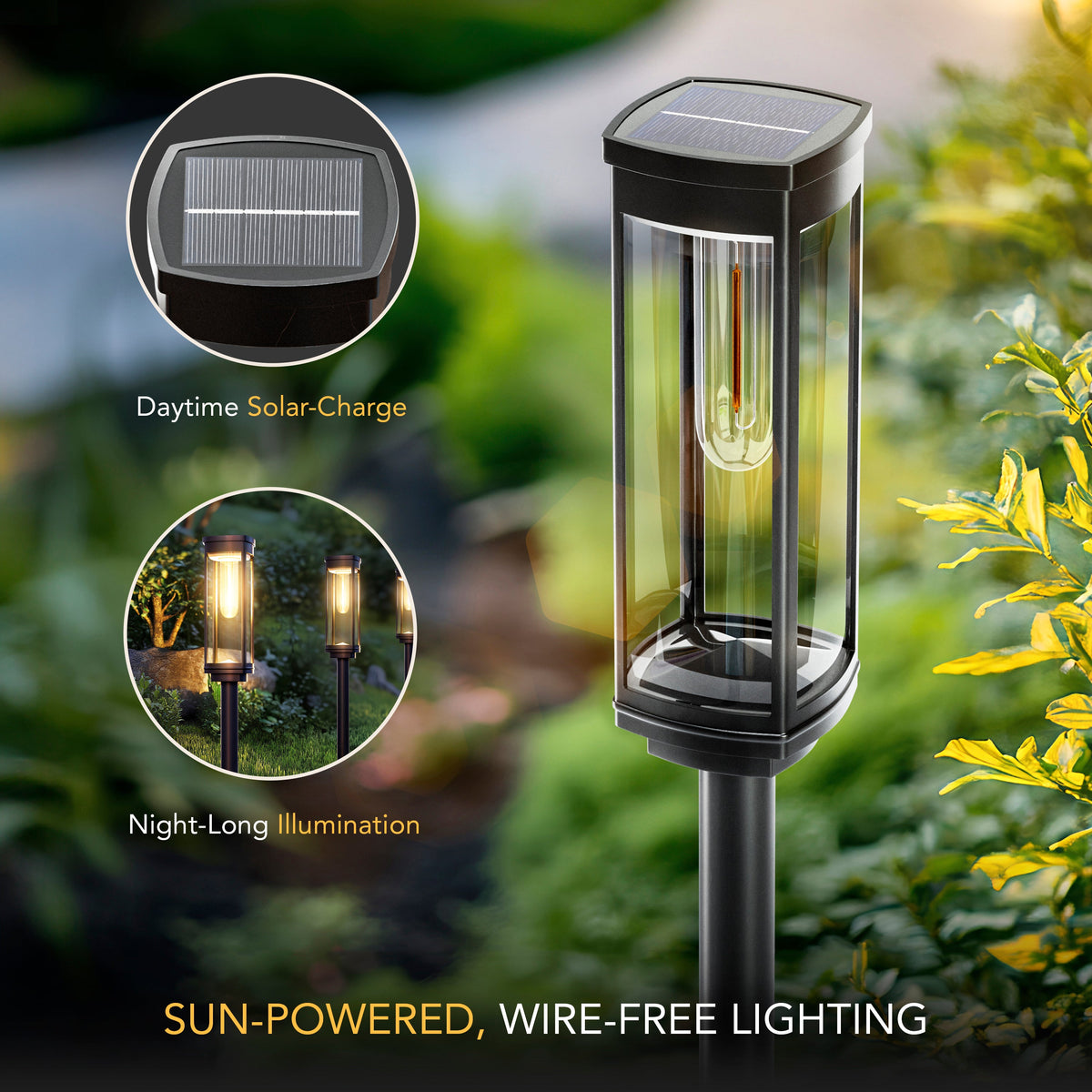 SOLEA Pathway Lights Illuminate Gardens with Elegant Style