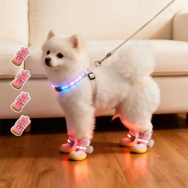 LED Dog Boots™ — Fearless Paw Protection that Lights Every Adventure