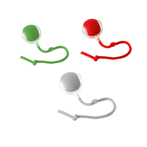 Pet Rolling Ball