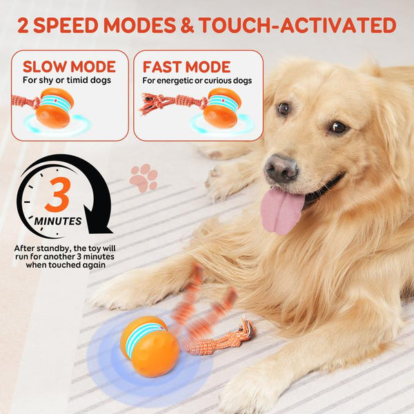 TailChase™ Smart Dog Ball Keeps Dogs Entertained Longer