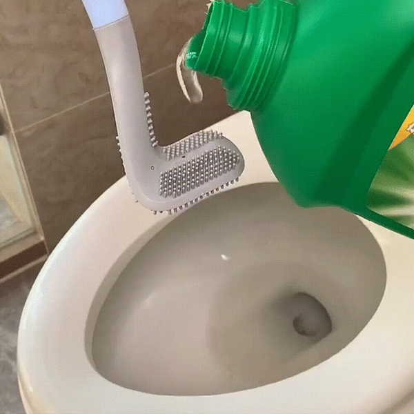 Toilet Brush
