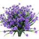  Blue Narcissus
