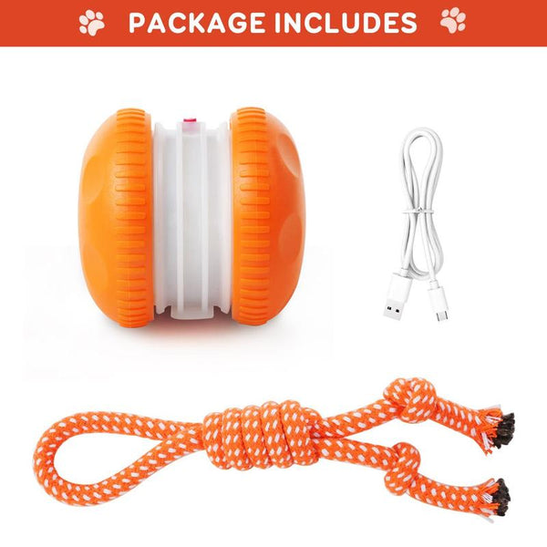 TailChase™ Smart Dog Ball Keeps Dogs Entertained Longer