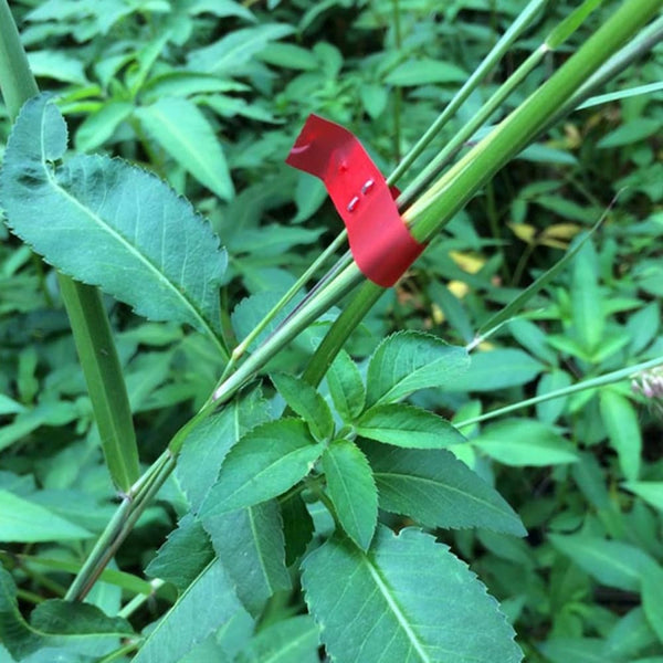 GrowMasterPro — Transform Your Garden Into a Thriving Powerhouse of Unstoppable Growth