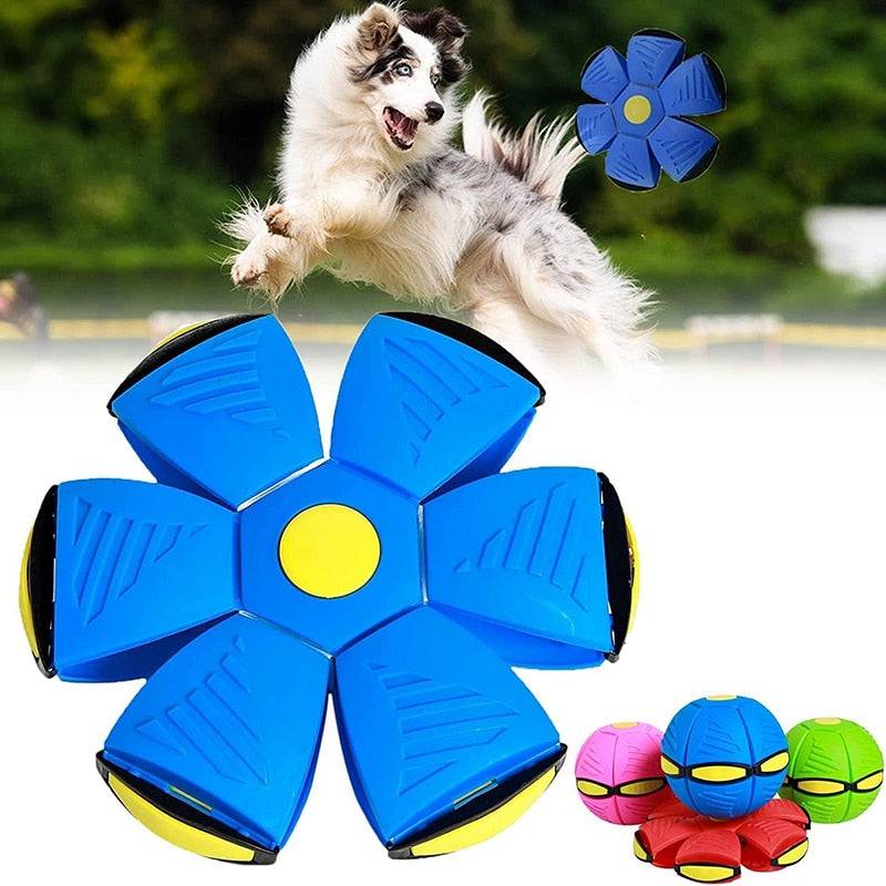 FlexiMorph™ Transforming Ball — Fun That Always Comes Back