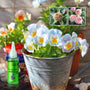 1+1 Free | GreenBoost™ Plant Nutrient Solution
