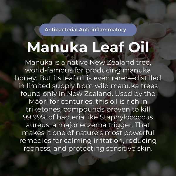 Miracle Manuka Daily Defence Cream for Dry, Itchy Skin – 100g
